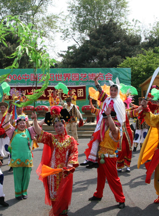 “鞑子香花” 绽放世博园